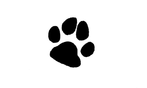 Symbol 3